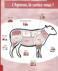 Parts Of Mutton Manufacturer Supplier Wholesale Exporter Importer Buyer Trader Retailer in Kolkata West Bengal India